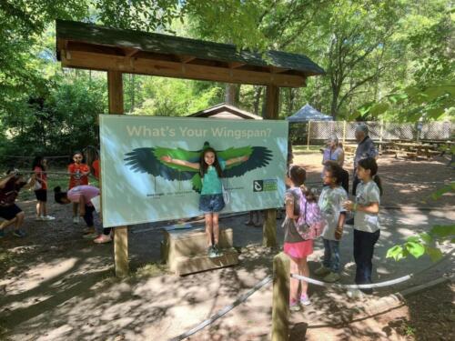 3rd grade, Raptor Center